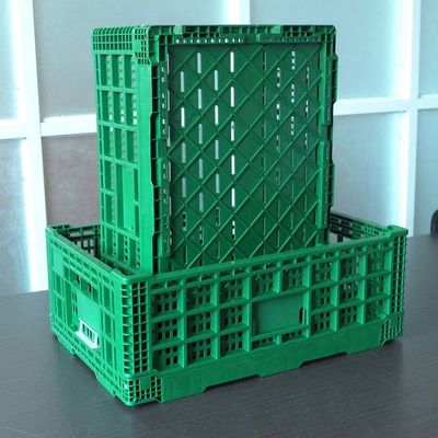Silk Road Enterprise Green Vegetable Storage Reusable Collapsible New PP Plastic 32 Liters Crate