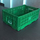 PP Material Vented Type Plastic Collapsible Crate Fruit Use 600x400x180Mm