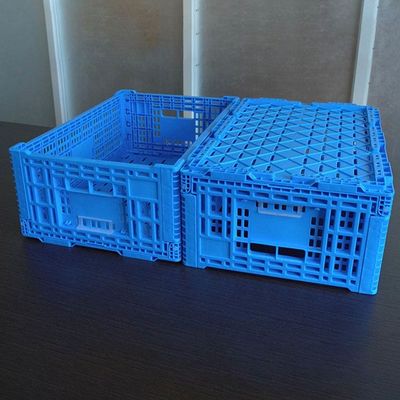 PP Material Vented Type Plastic Collapsible Crate Fruit Use 600x400x180Mm