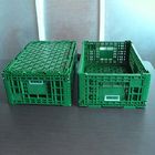 Green Plastic Storage Crate 600x400x220cm For Fruit Vegetable