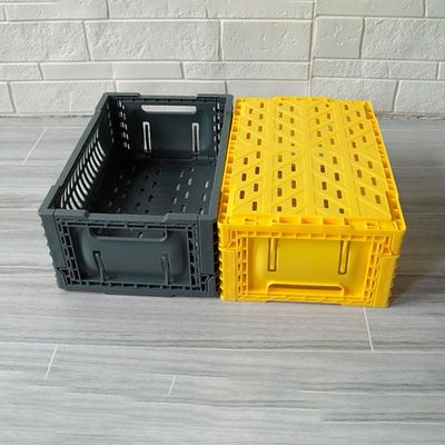 Quality Small Vented Collapsible Storage Crate PP Plastic For Snack Fruit factory
