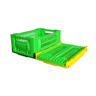 Quality Small 5L Fruit Storage Basket Multi Color Options Folding factory