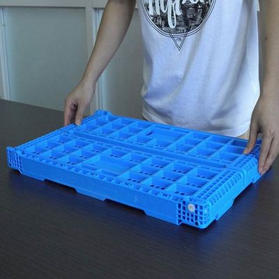 Quality Multiple Size Folding Green Plastic Fruit Crate For Supermarket factory