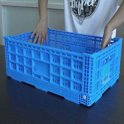 Quality Perforated Collapsible Plastic Crates With Lids Blue Foldable factory