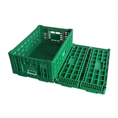 Quality Green Collapsible Fruit Plastic Crates Portable For Home Shopping factory